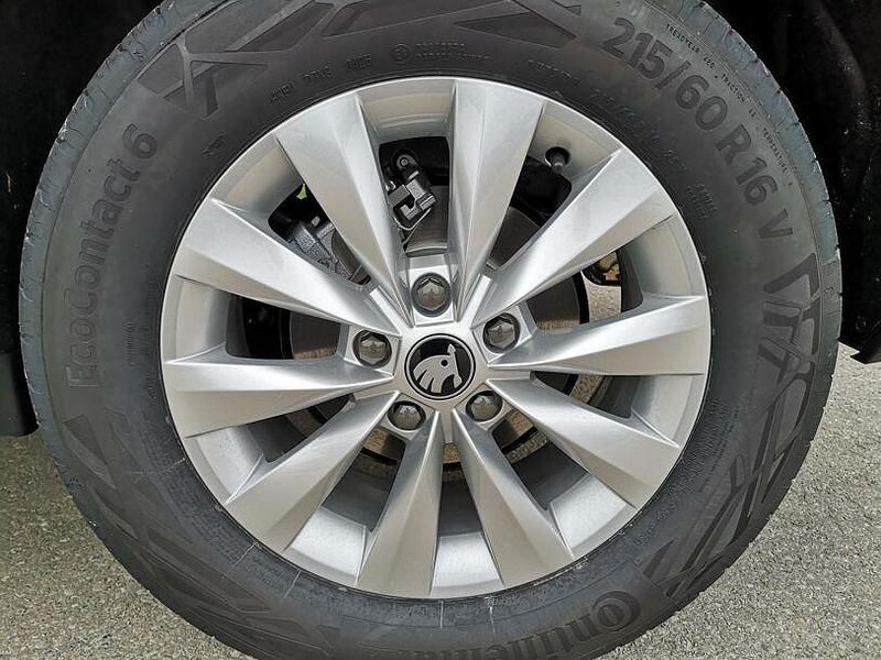 Neu Skoda Karoq Selection 190 PS (139 kW) 2025 Nevadaweiß metallic SUV