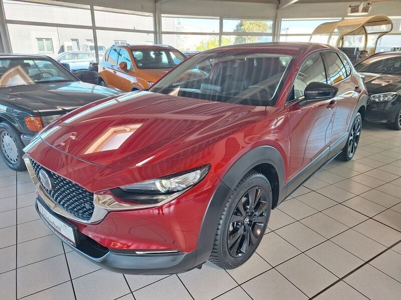 Rot Gebraucht 2024 Mazda CX-30 Homura-Line SUV | 23.990 € - Bild 1/4