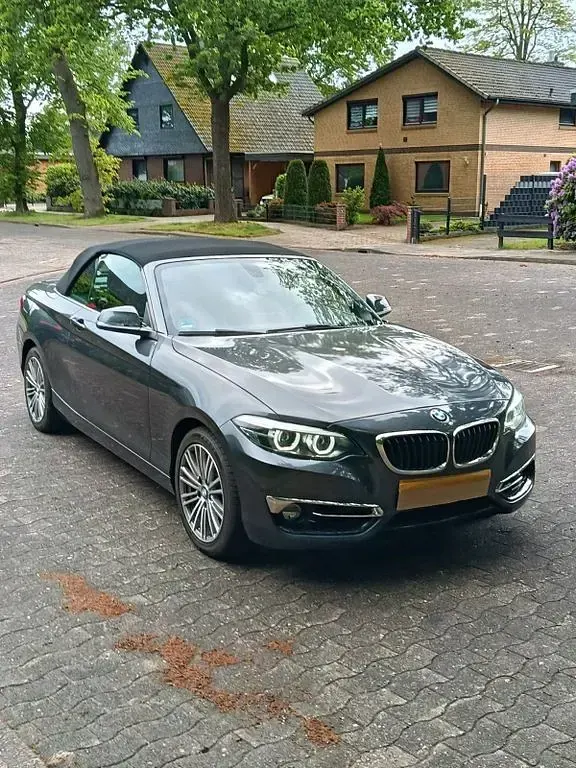 Gebraucht BMW 218 Luxury Line 136 PS (100 kW) 2019 Grau Cabrio