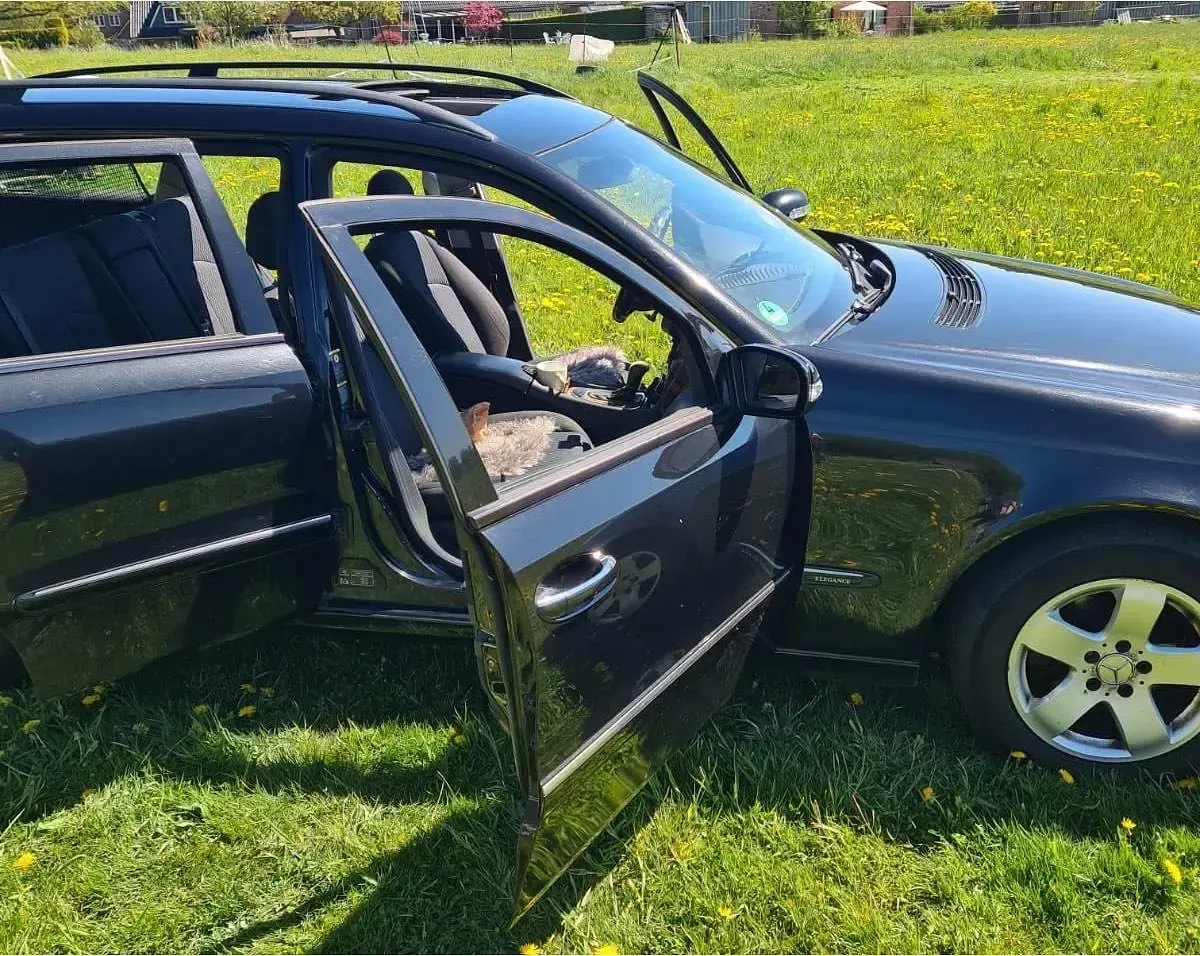 Gebraucht Mercedes E270 176 PS (129 kW) 2003 Schwarz Kombi