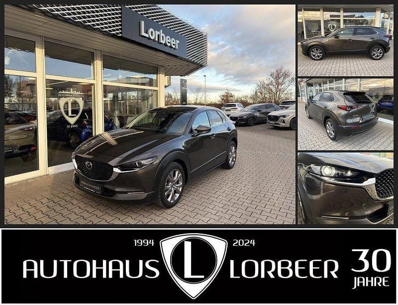 Gebraucht Mazda CX-30 Selection 150 PS (110 kW) 2020 Grau SUV