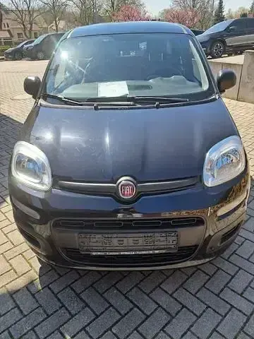 Occasion Fiat Panda Pop 70 ch (51 kW) 2016 Noir Citadine