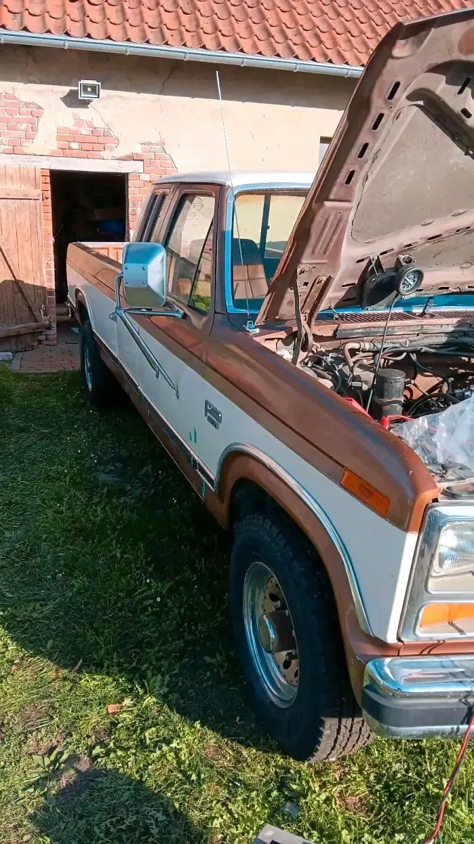 Gebraucht Ford F250 220 PS (161 kW) 1986 Beige Pickup