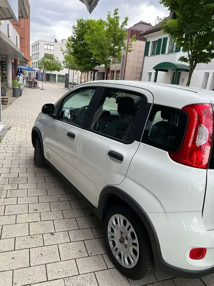 Gebraucht Fiat Panda 71 PS (52 kW) 2023 Weiß Kleinwagen