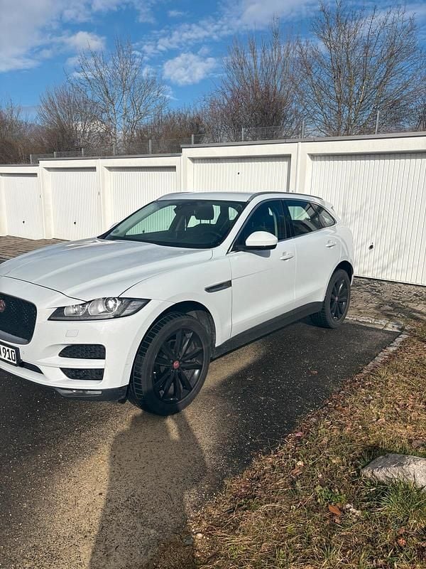 Gebraucht Jaguar F-Pace 250 PS (183 kW) 2017 Weiß SUV