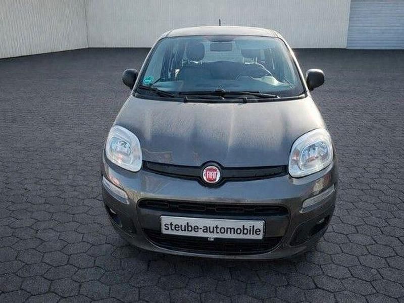 Gebraucht Fiat Panda Easy 69 PS (50 kW) 2017 Grau Kleinwagen