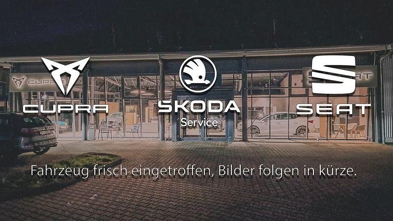 Gebraucht Cupra Born 150 kW (204 PS) 2023 Mondsteingrau Kleinwagen