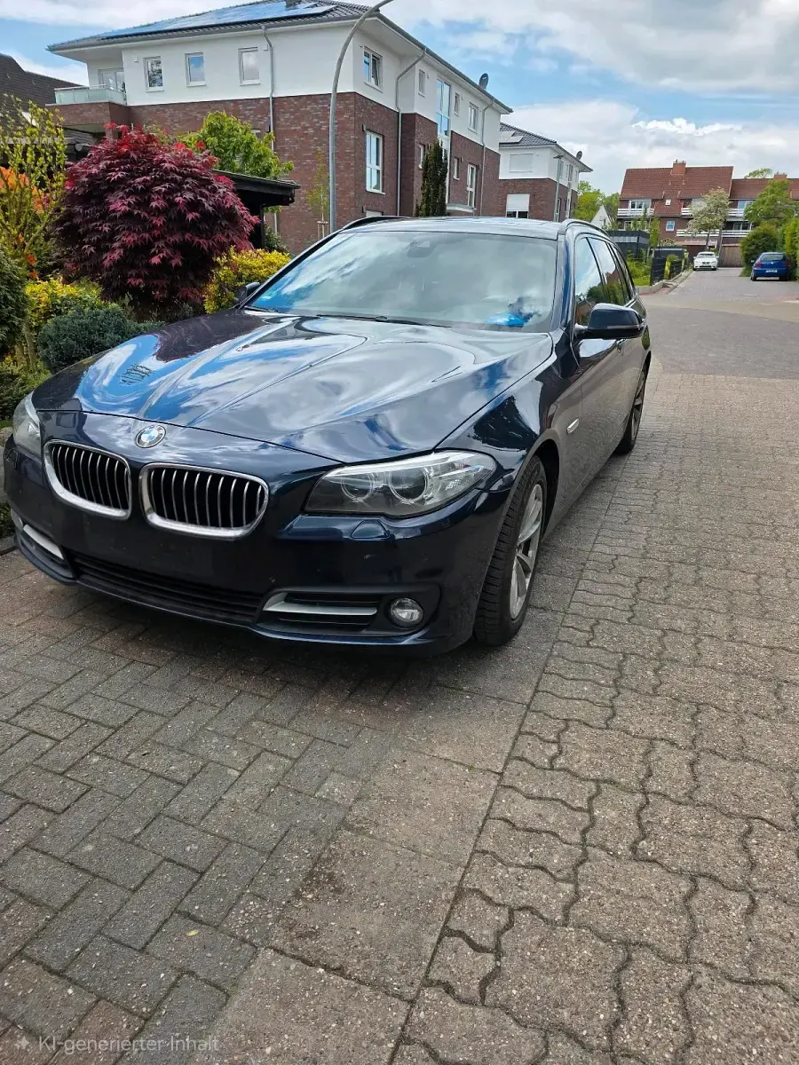Gebraucht BMW 520 190 PS (139 kW) 2016 Blau Kombi