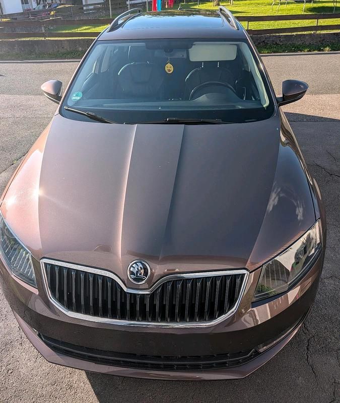 Braun Gebraucht 2016 Skoda Octavia Style Kombi | 12.000 € (Fairer Preis) - Bild 1/4