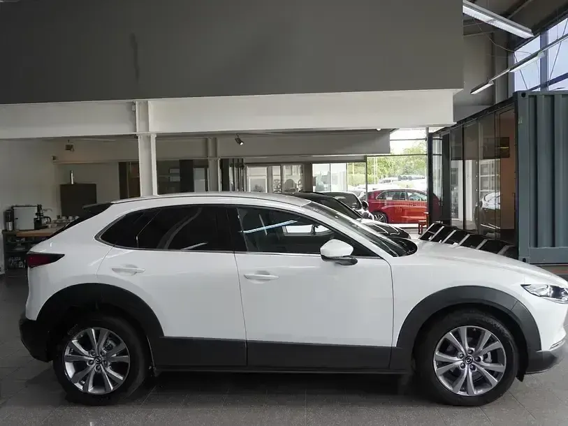 Gebraucht Mazda CX-30 Selection 150 PS (110 kW) 2021 Weiß SUV