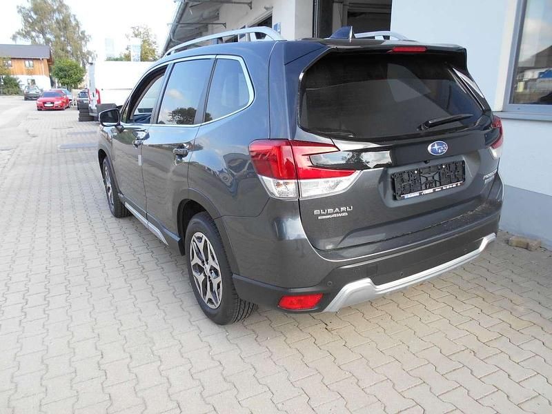 Gebraucht Subaru Forester Comfort 150 PS (110 kW) 2024 Bronze SUV