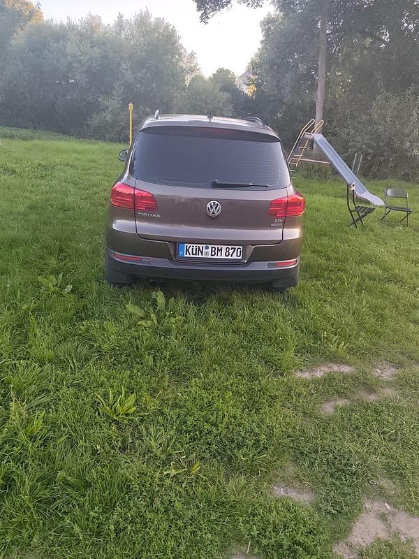 Braun Gebraucht 2013 VW Tiguan SUV | 11.800 € (Guter Preis) - Bild 1/4