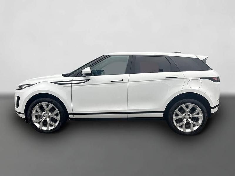 Gebraucht Land Rover Range Rover SE 309 PS (227 kW) 2022 Weiß SUV
