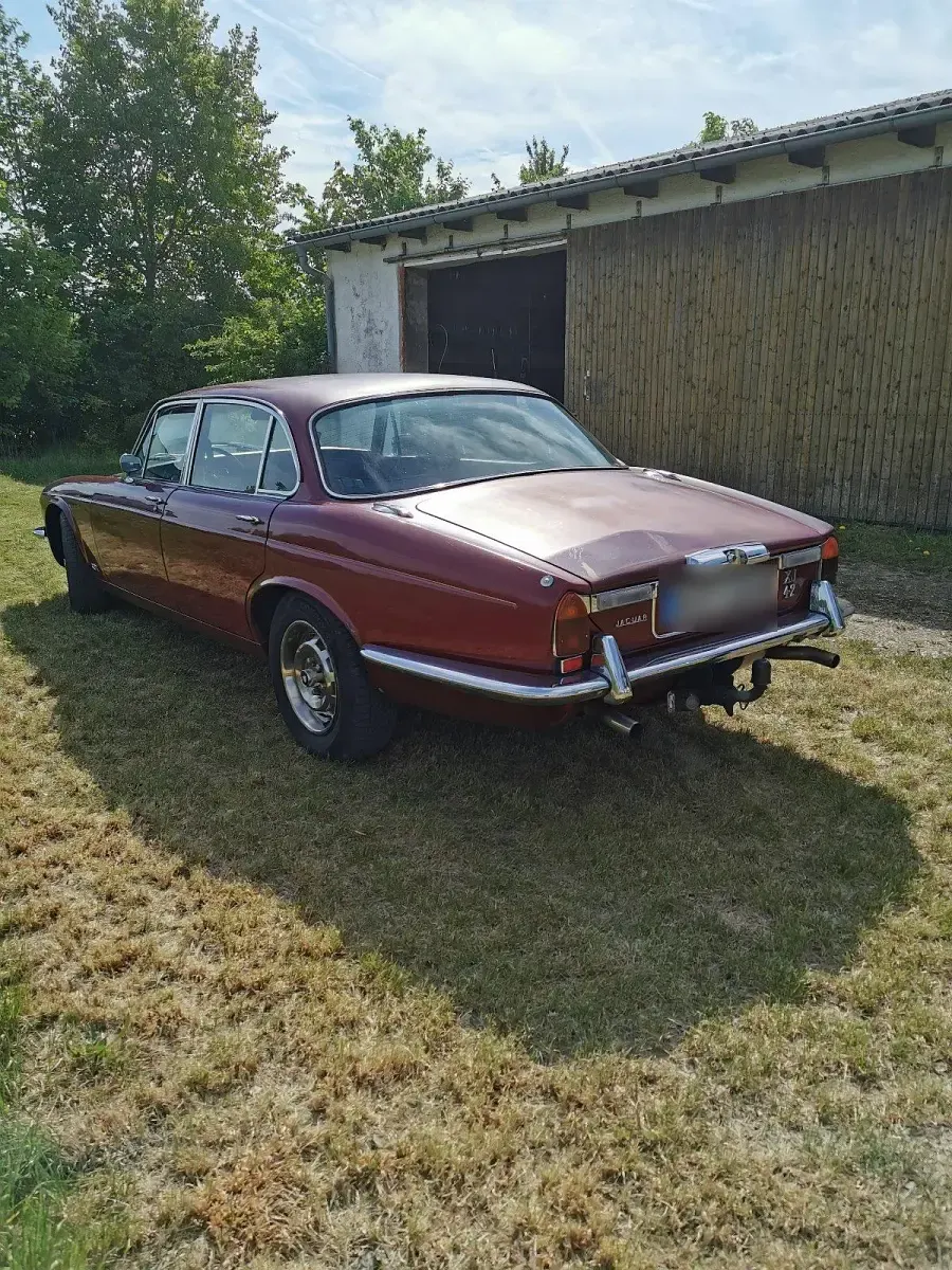 Gebraucht Jaguar XJ6 172 PS (126 kW) 1979 Rot Limousine