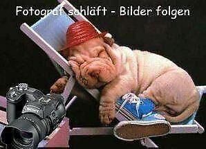 Gebraucht VW ID.3 Pro Performance 150 kW (204 PS) 2022 Grau Kleinwagen