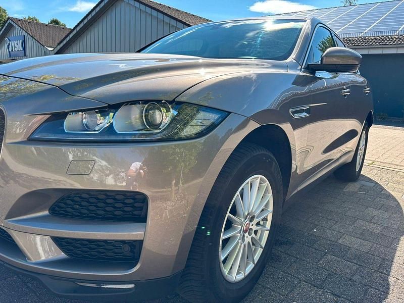 Gebraucht Jaguar F-Pace 179 PS (131 kW) 2017 Braun SUV