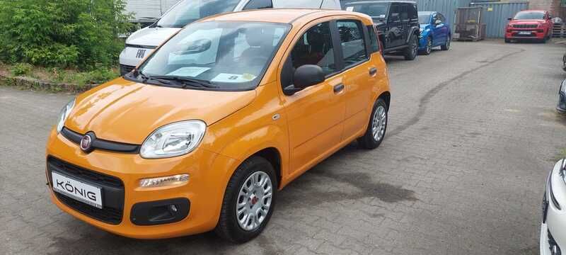 Orange Gebraucht 2019 Fiat Panda Easy Kleinwagen | 8.990 € (Fairer Preis) - Bild 1/4