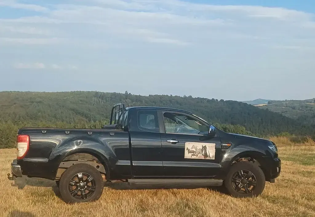 Gebraucht Ford Ranger 125 PS (91 kW) 2020 Schwarz Pickup