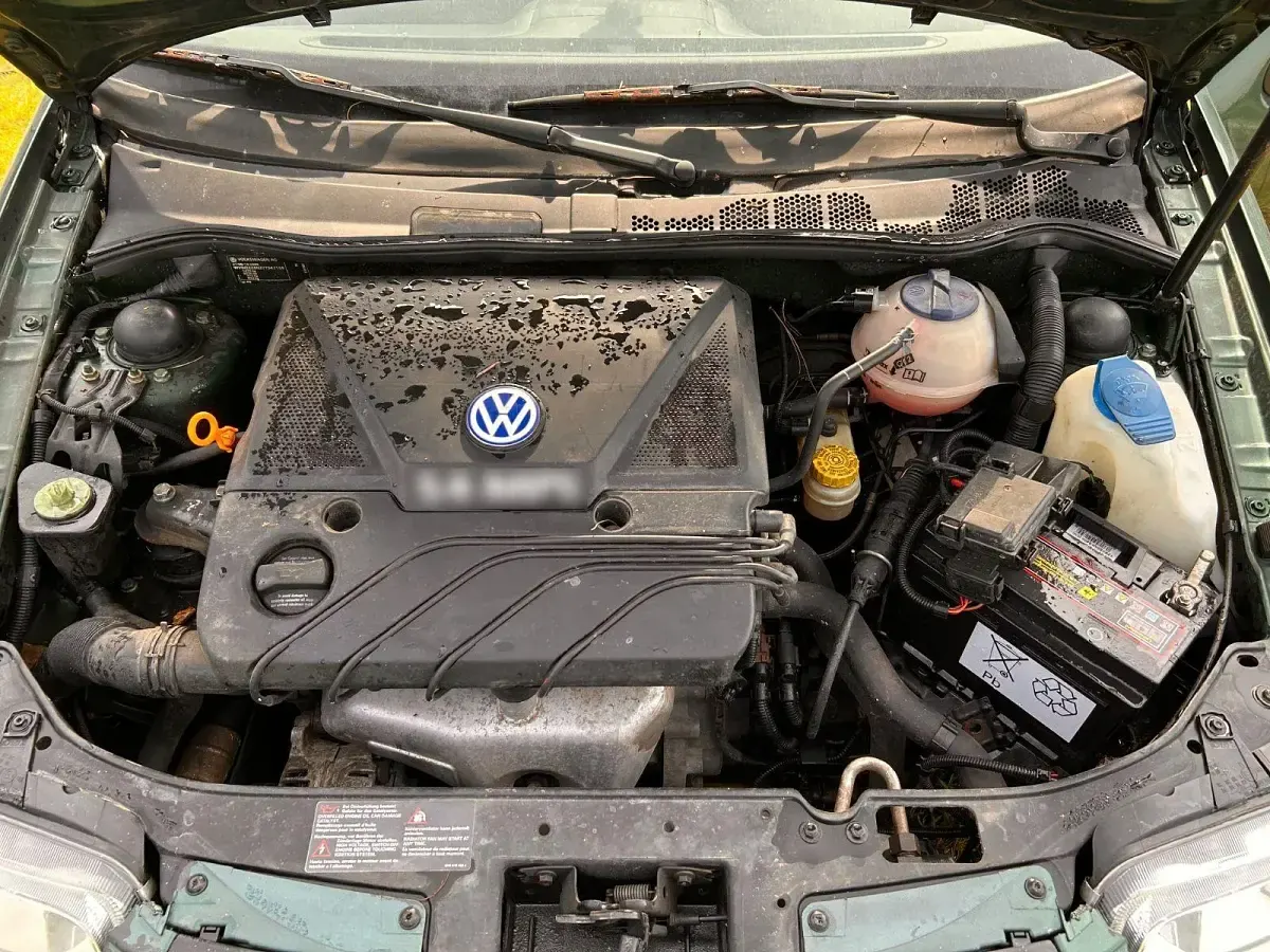 Usata VW Polo Conceptline 60 CV (44 kW) 2000 Verde Berlina