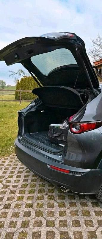 Gebraucht Mazda CX-30 Selection 150 PS (110 kW) 2020 Grau SUV