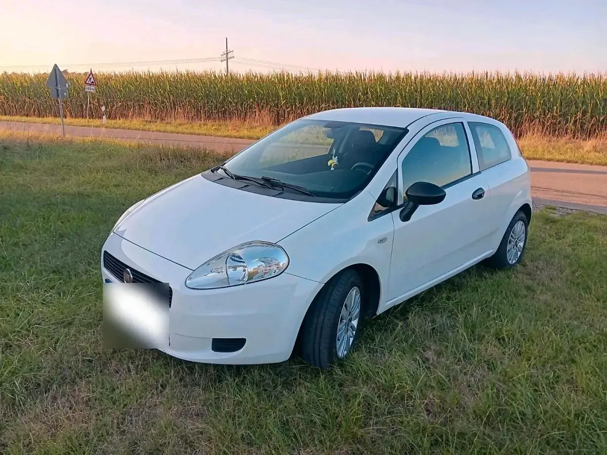 Gebraucht Fiat Punto 69 PS (50 kW) 2013 Weiß Kleinwagen