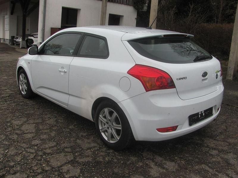 Gebraucht Kia ProCeed 90 PS (66 kW) 2013 Weiß Kleinwagen