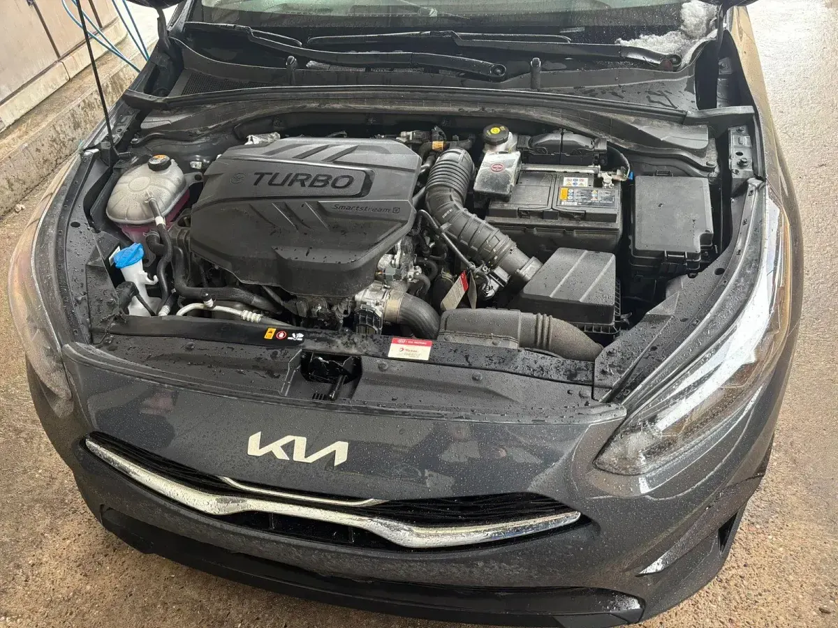 Gebraucht Kia Ceed 136 PS (100 kW) 2023 Grau Kleinwagen