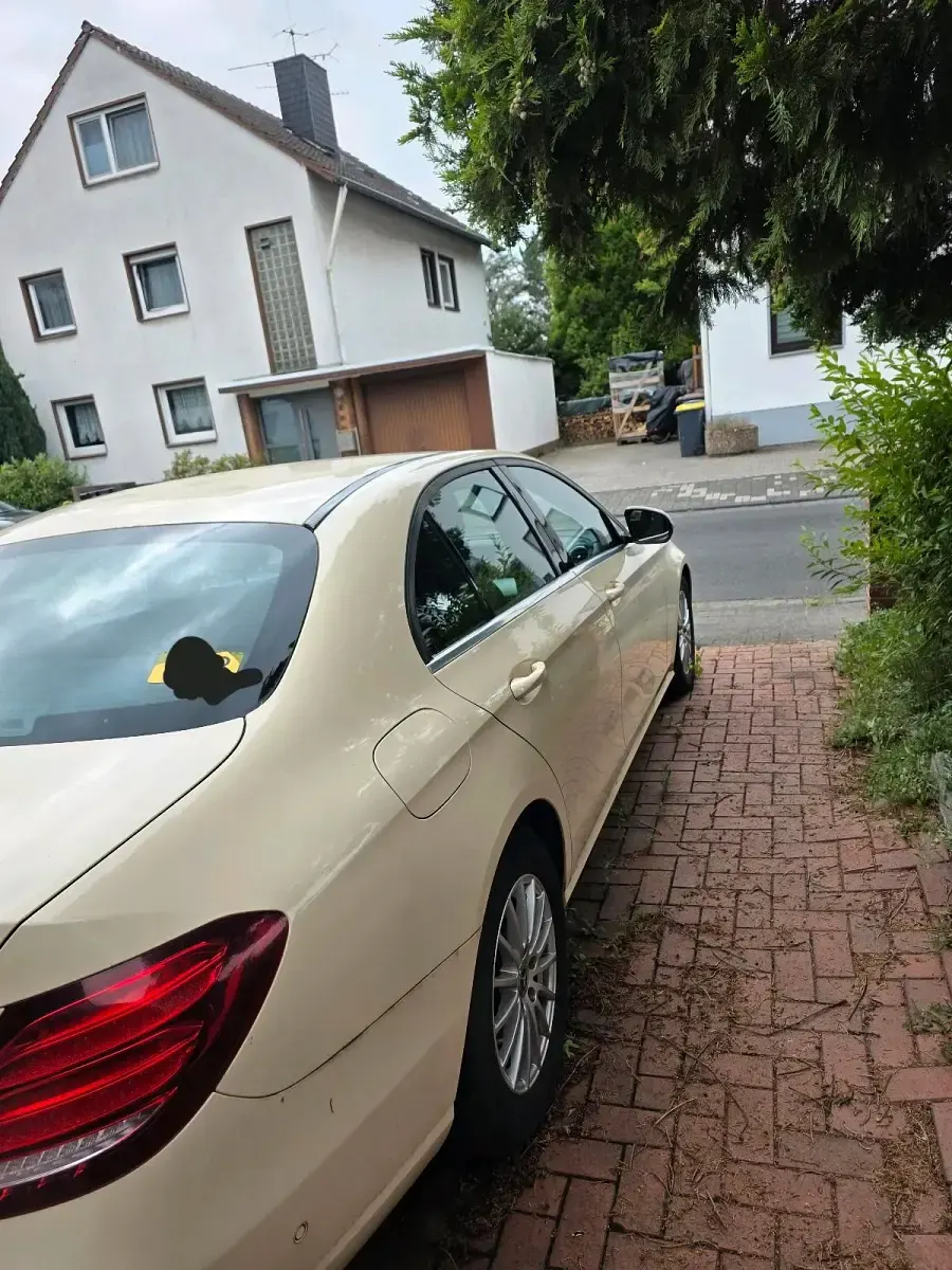 Gebraucht Mercedes E200 150 PS (110 kW) 2019 Limousine