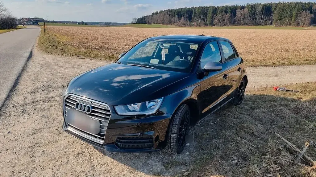 Gebraucht Audi A1 Sportback 95 PS (69 kW) 2018 Schwarz Kleinwagen