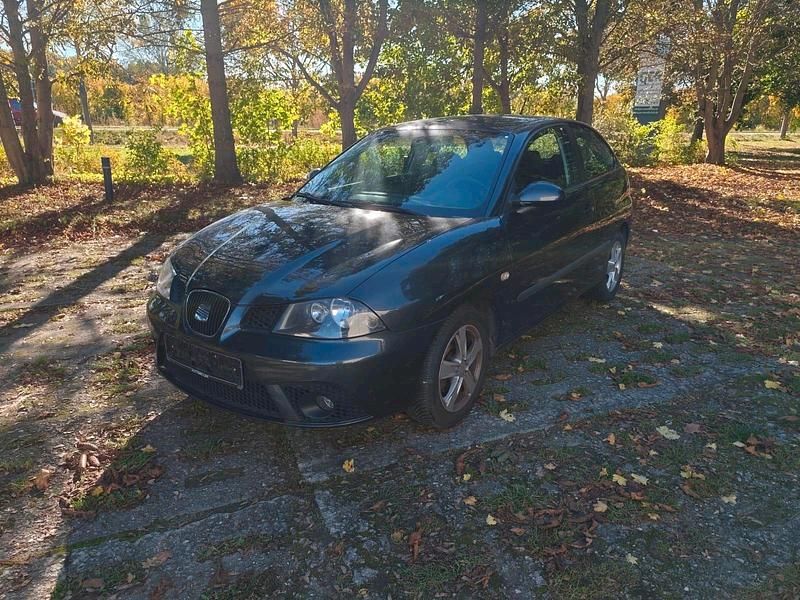 Grau Gebraucht 2009 Seat Ibiza Kleinwagen | 650 € (Superpreis) - Bild 1/4
