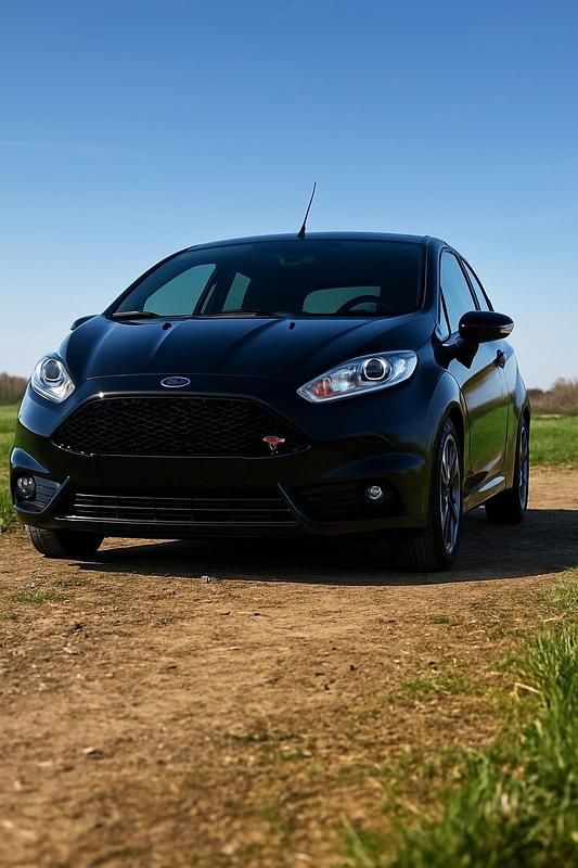 Schwarz Gebraucht 2017 Ford Fiesta ST Kleinwagen | 12.200 € (Etwas zu teuer) - Bild 1/2