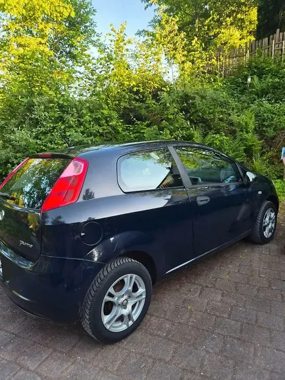 Gebraucht Fiat Punto Dynamic 65 PS (47 kW) 2009 Blau Kleinwagen