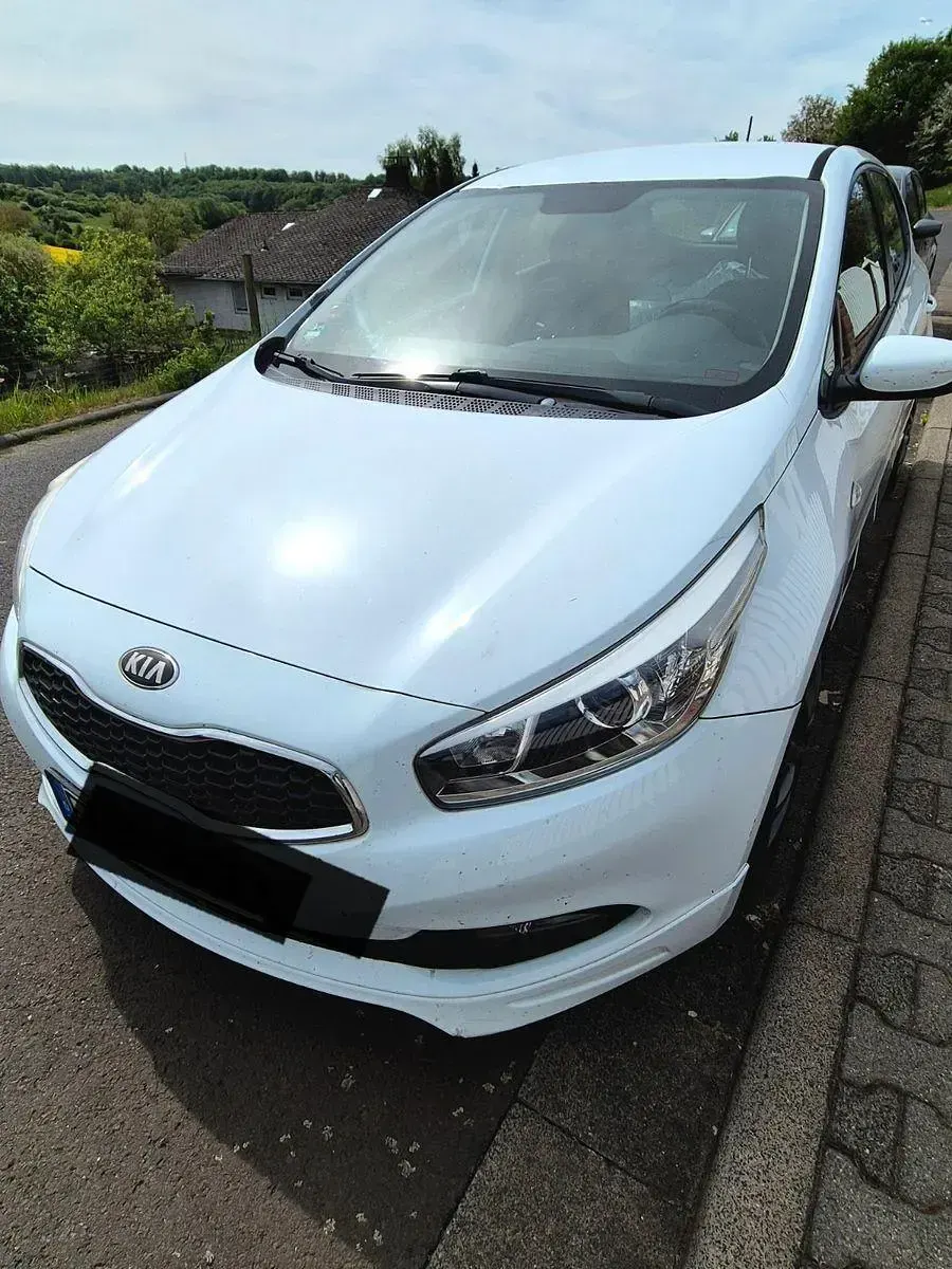 Brugt Kia Ceed Edition 7 99 HK (72 kW) 2014 Sort Hatchback