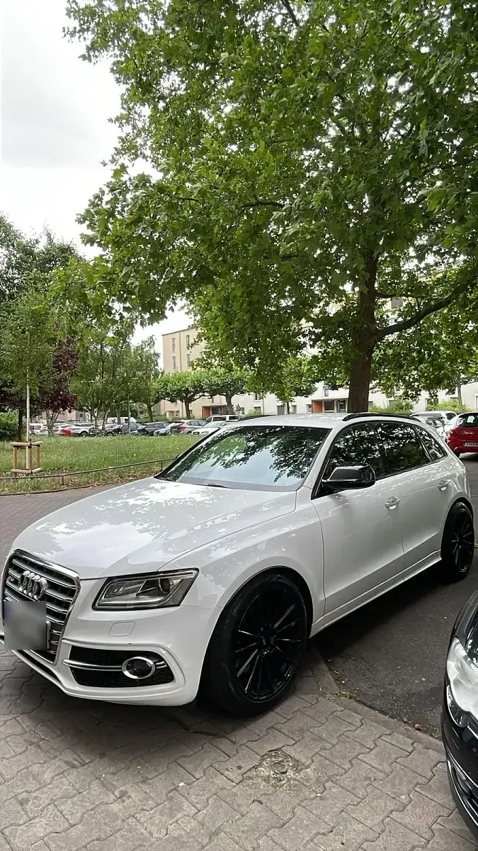 Gebraucht Audi SQ5 Competition 326 PS (239 kW) 2017 Weiß SUV