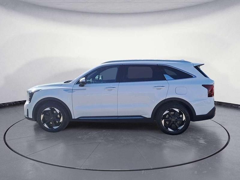Gebraucht Kia Sorento 160 PS (117 kW) 2024 Snow white pearl SUV