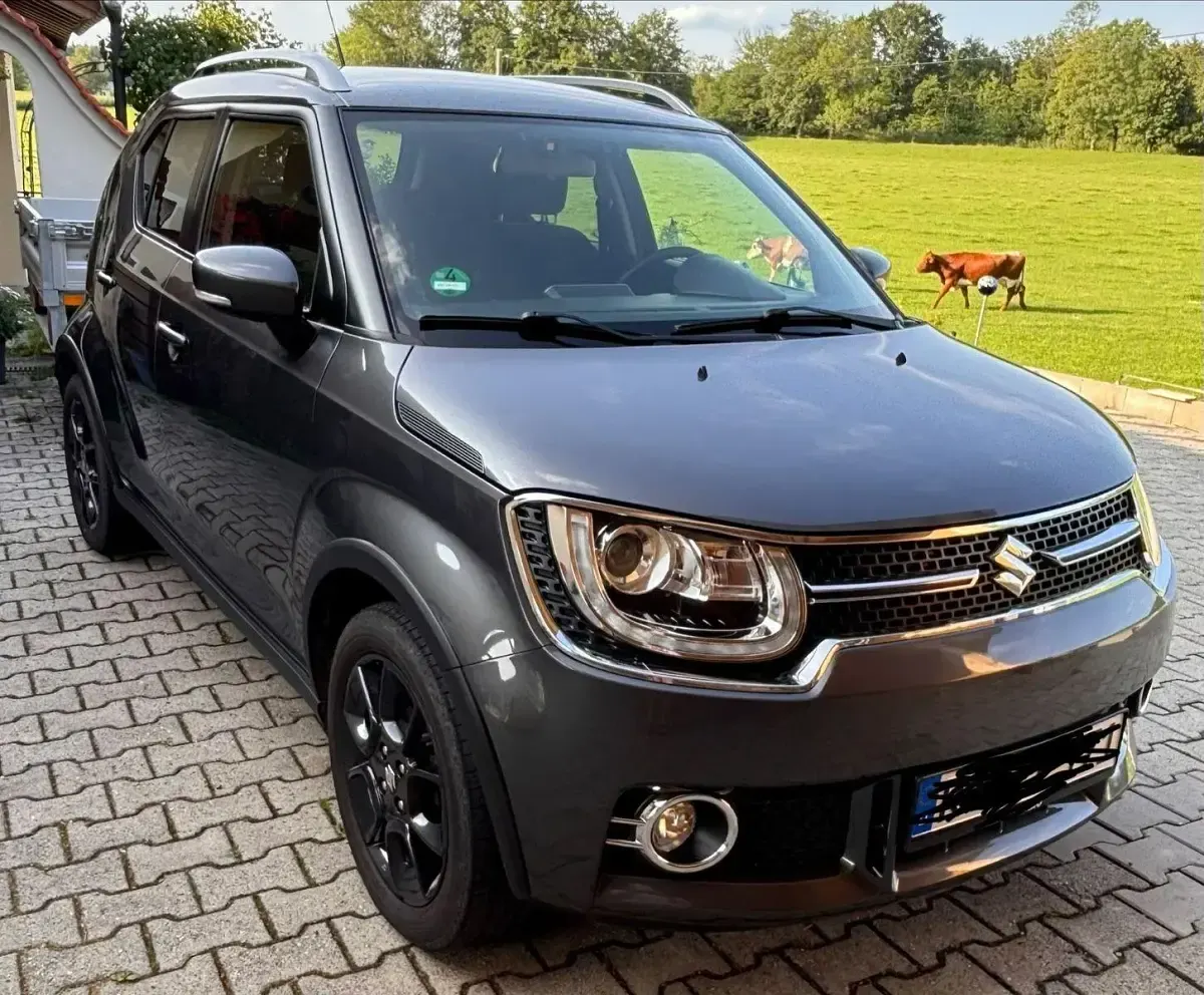 Gebraucht Suzuki Ignis Comfort 90 PS (66 kW) 2017 Grau SUV