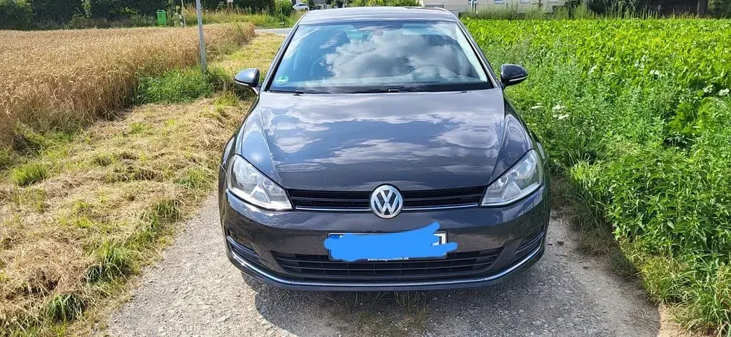 Gebraucht VW Golf VII Allstar 125 PS (91 kW) 2016 Grau Limousine