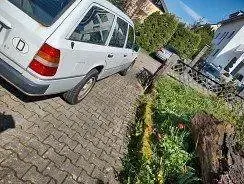 Gebraucht Mercedes 230 136 PS (100 kW) 1991 Weiß Kombi