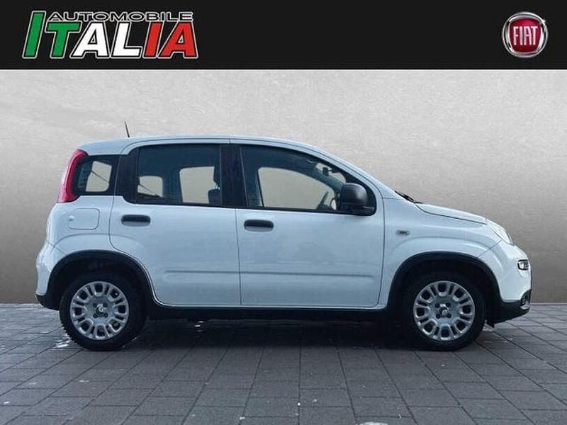 Gebraucht Fiat Panda 70 PS (51 kW) 2024 Weiß Kleinwagen
