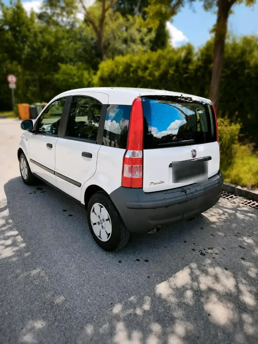 Gebraucht Fiat Panda Active 55 PS (40 kW) 2009 Weiß Kleinwagen