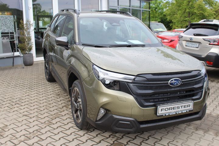 Neu Subaru Forester Trend 136 PS (100 kW) 2025 Grün SUV