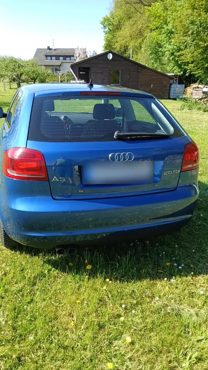 Używany Audi A3 140 KM (102 kW) 2009 Niebieski Hatchback