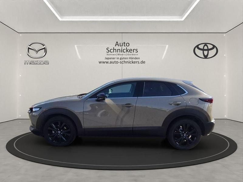 Gebraucht Mazda CX-30 Nagisa 140 PS (102 kW) 2025 Beige SUV