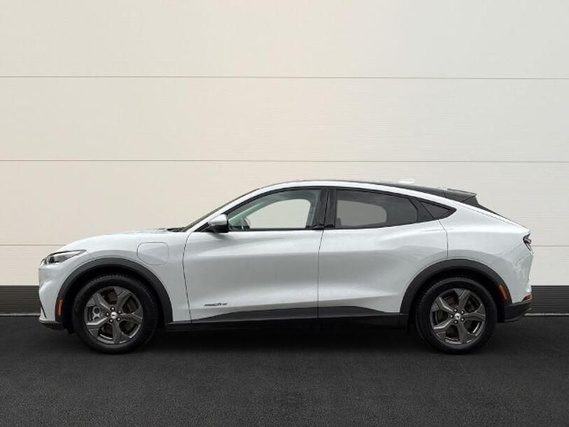 Gebraucht Ford Mustang Mach-E Basis 197 kW (269 PS) 2021 Weiß(metallic) SUV