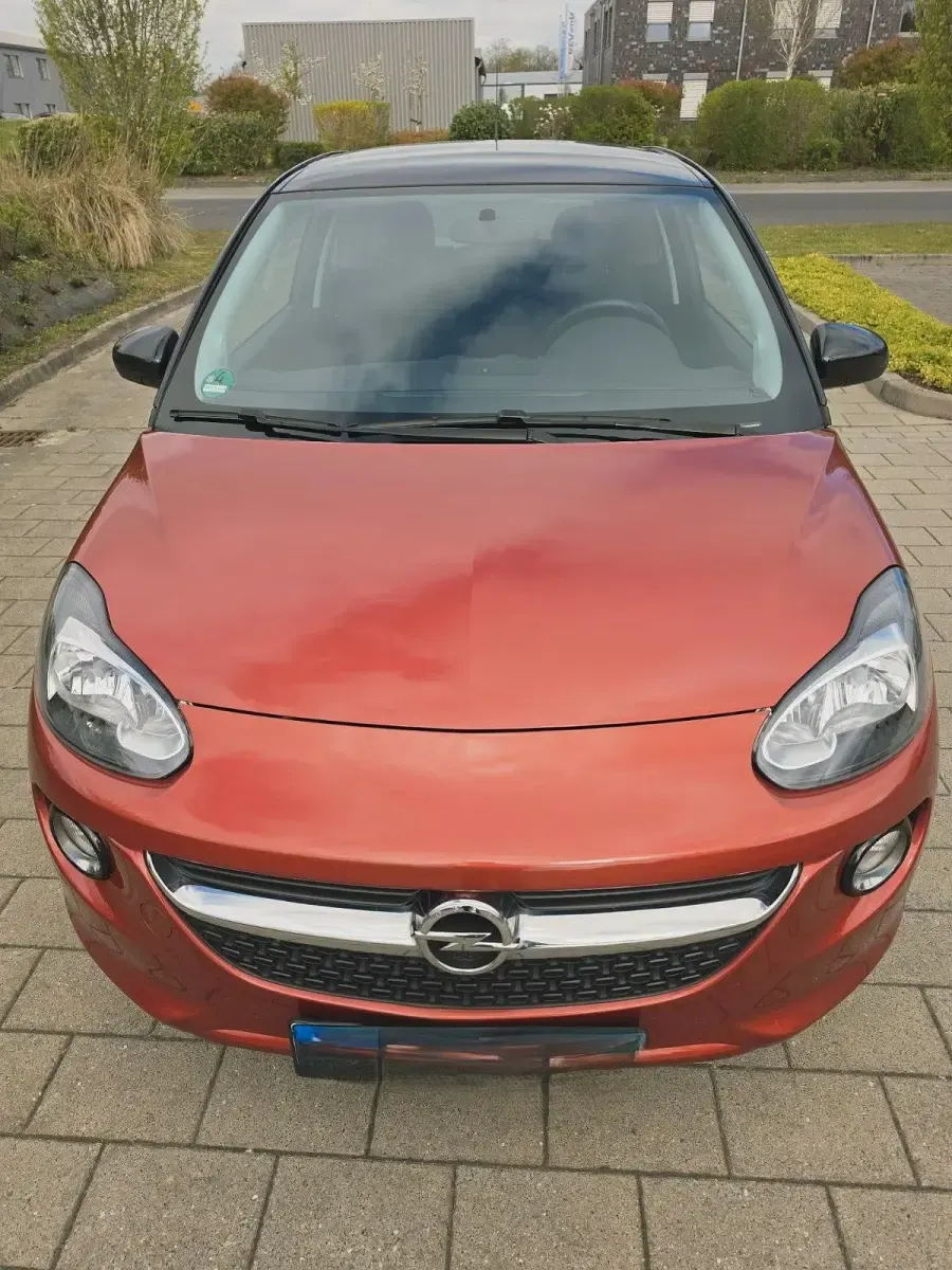 Occasion Opel Adam Glam 100 ch (73 kW) 2014 Citadine