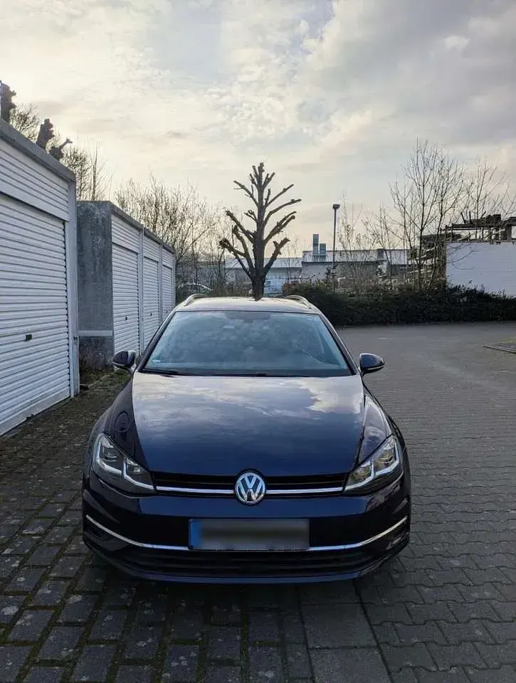 Gebraucht VW Golf VII Comfortline 116 PS (85 kW) 2019 Blau Kombi