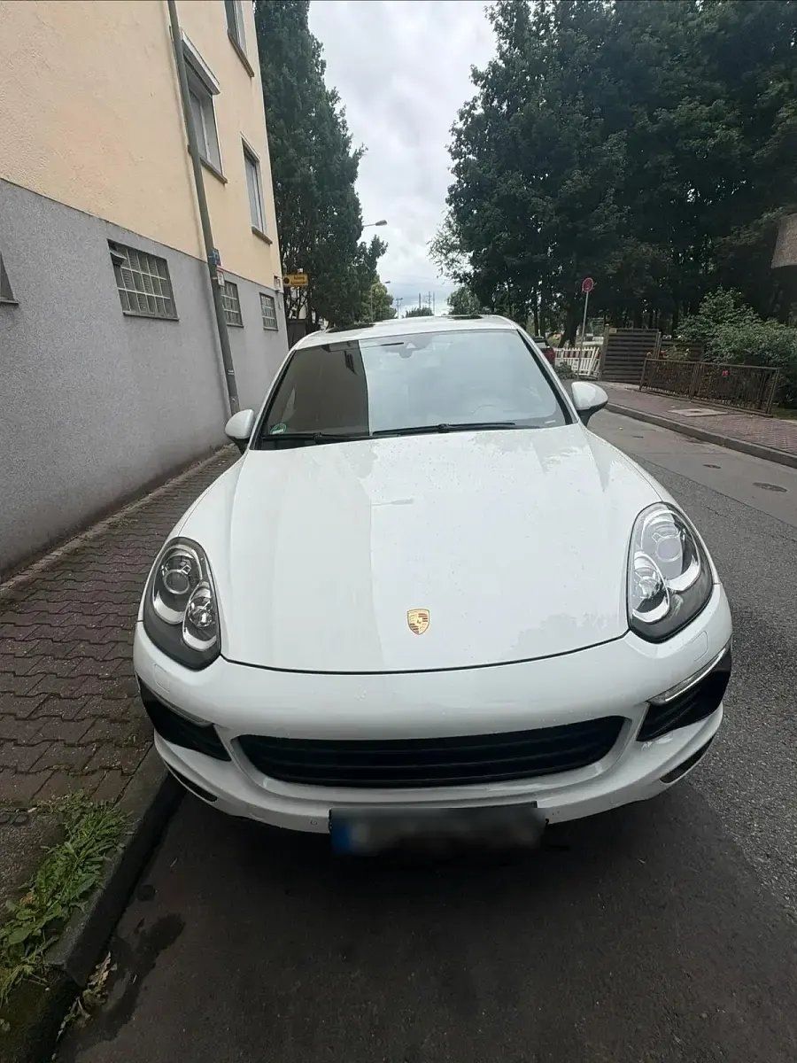 Gebraucht Porsche Cayenne 262 PS (192 kW) 2016 Weiß SUV