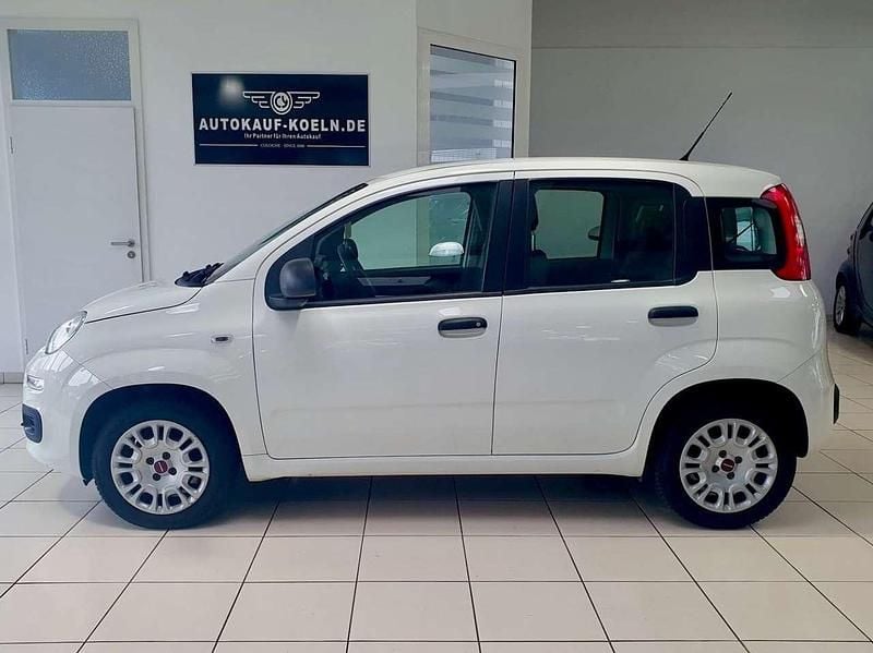 Gebraucht Fiat Panda Easy 69 PS (50 kW) 2019 Weiß Kleinwagen