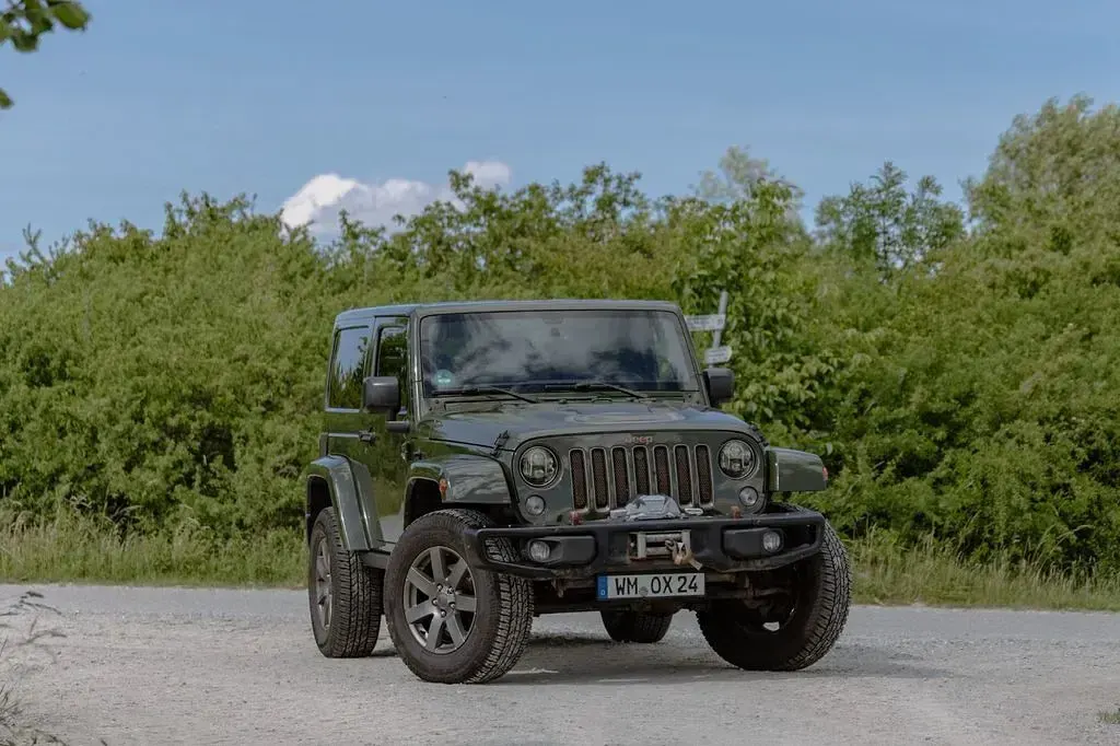 Gebraucht Jeep Wrangler 200 PS (147 kW) 2016 Grün SUV