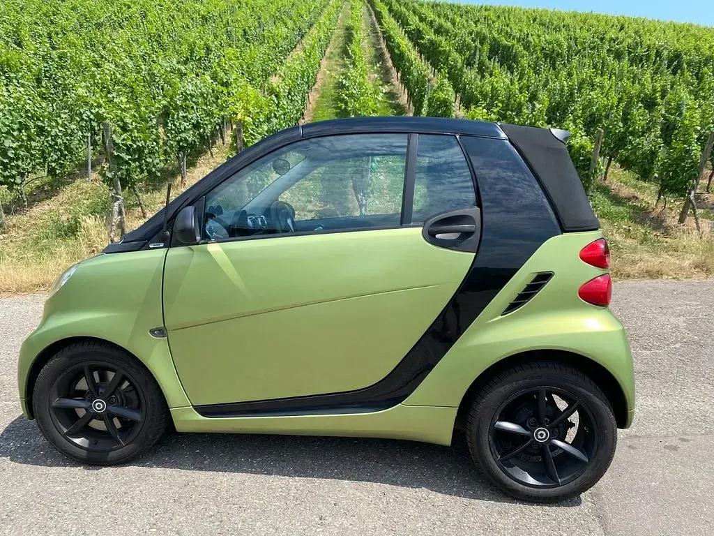 Gebraucht Smart ForTwo Cabrio Passion 71 PS (52 kW) 2010 Grün Cabrio